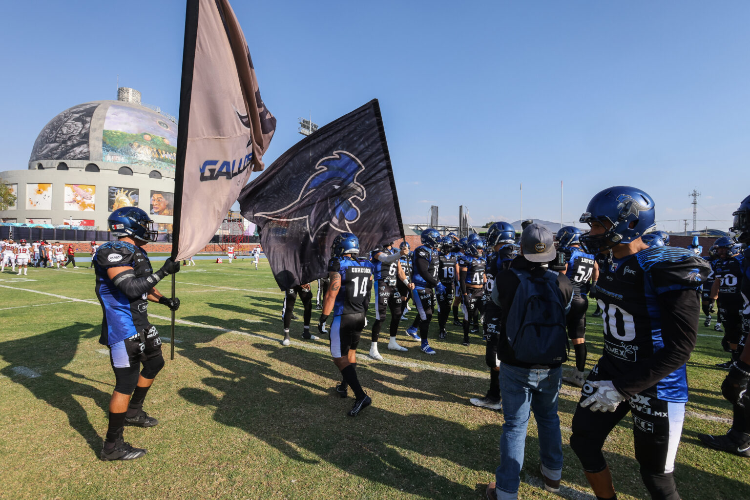 Galer A Gallo Gallos Negros Quer Taro