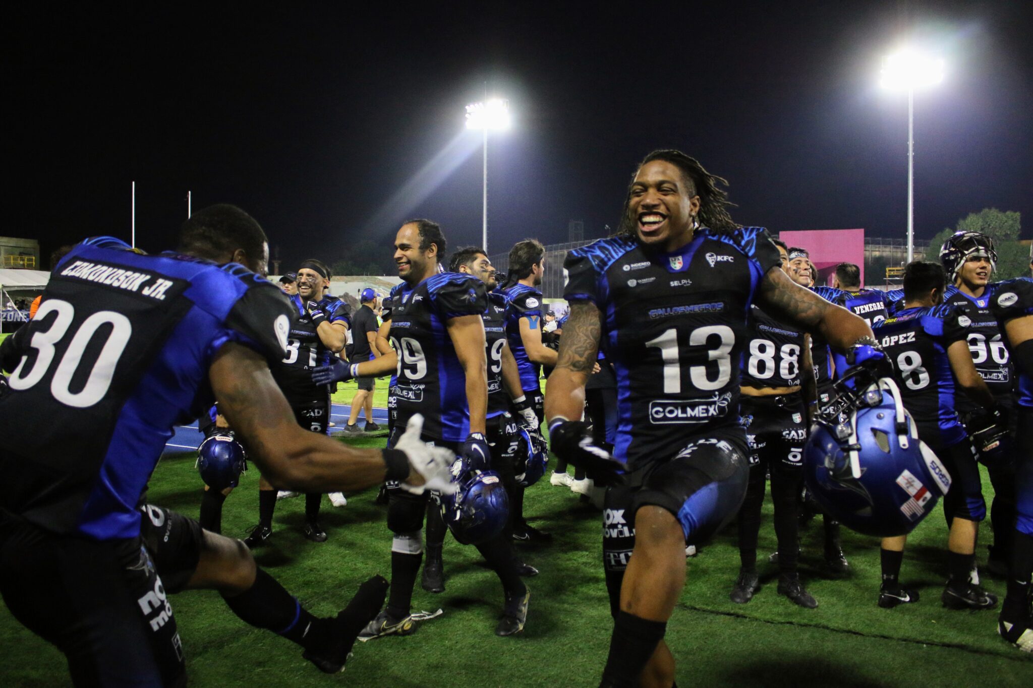 Galer A Gallo Gallos Negros Quer Taro