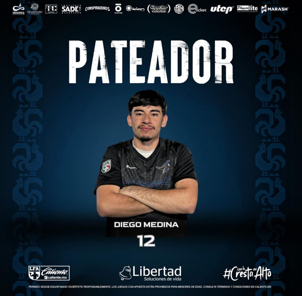 PATEADOR