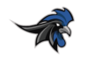 Gallos Negros LFA
